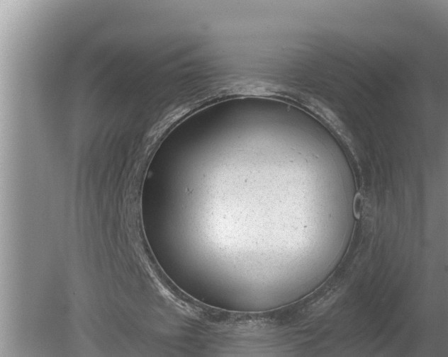 X0000080180433200612151952