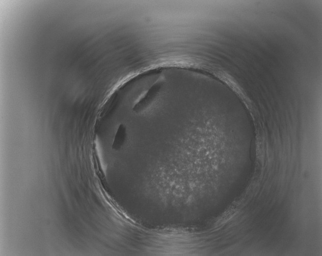 X0000080180434200612151952