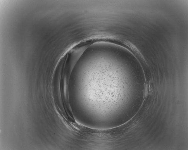 X0000080180436200612151952