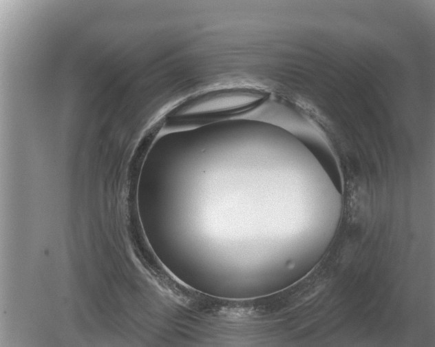 X0000080180440200612151952