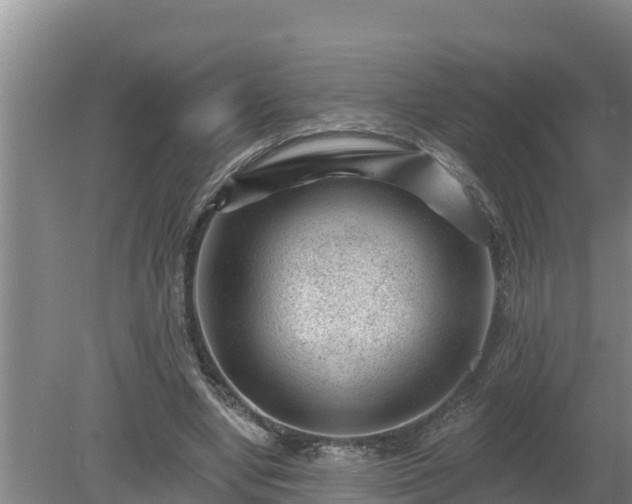 X0000080180442200612151952