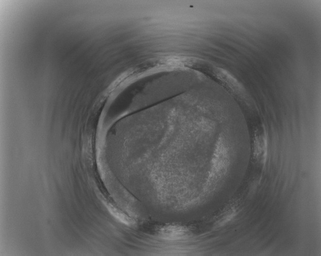 X0000080180444200612151952