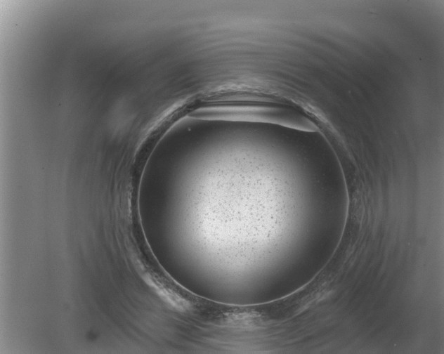 X0000080180446200612151952