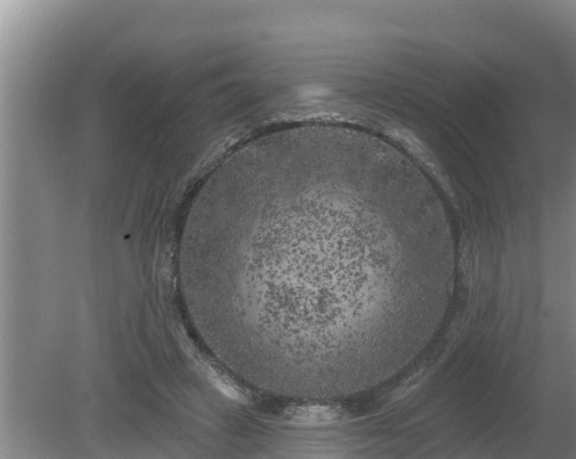 X0000080180449200612151952