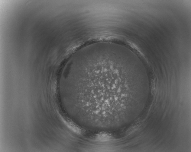 X0000080180451200612151952