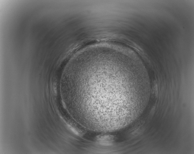 X0000080180452200612151952