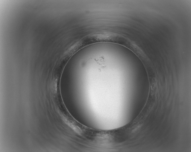 X0000080180454200612151953