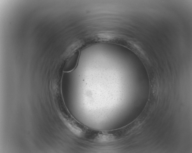 X0000080180455200612151953