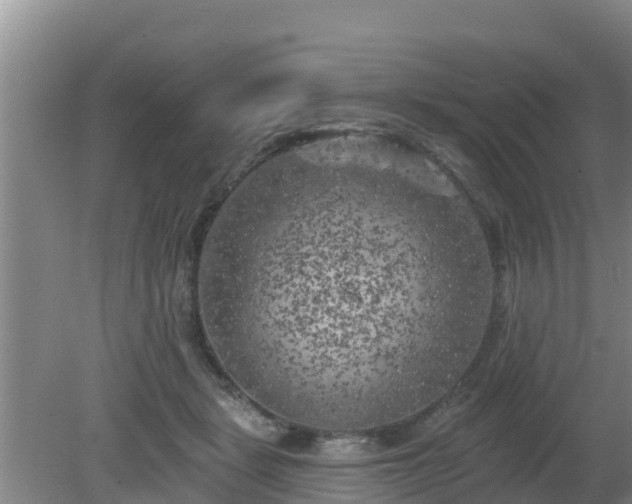 X0000080180461200612151953