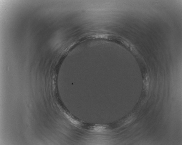 X0000080180462200612151953