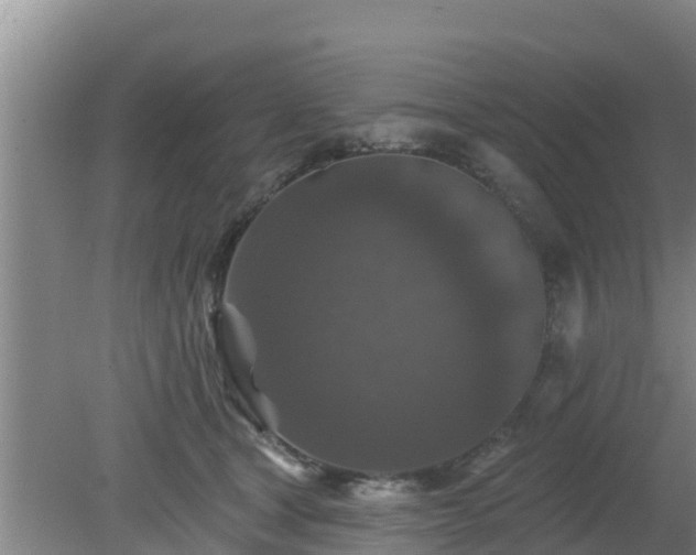 X0000080180465200612151953