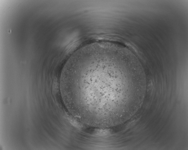 X0000080180469200612151953