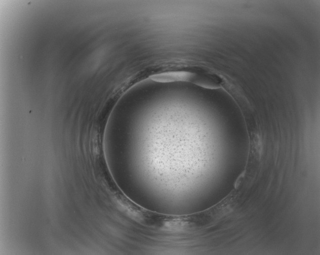 X0000080180470200612151953