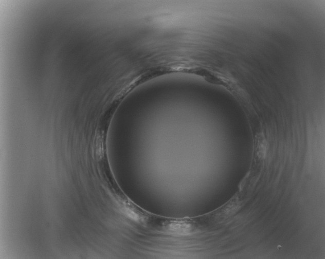 X0000080180471200612151953