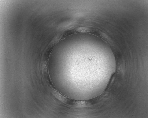 X0000080180473200612151953