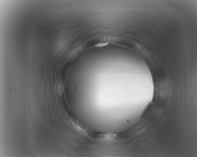 X0000080180474200612151953