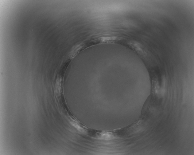 X0000080180475200612151953