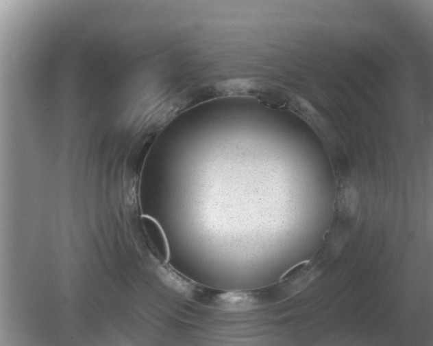 X0000080180477200612151953