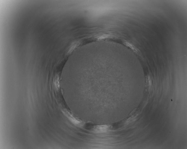 X0000080180479200612151953