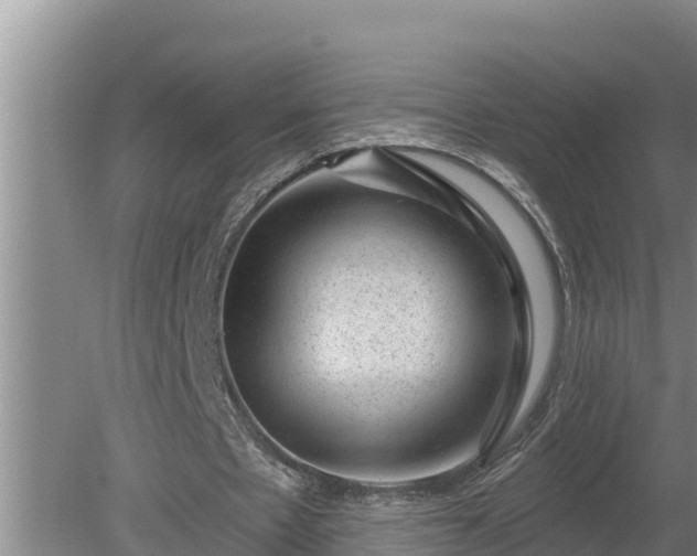 X0000080180481200612151952