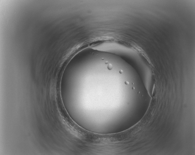 X0000080180482200612151952