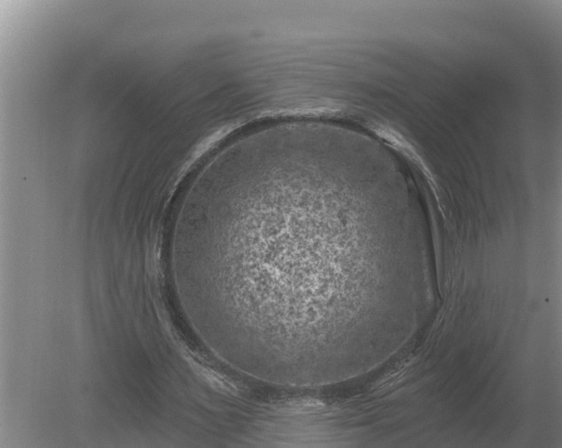 X0000080180483200612151952