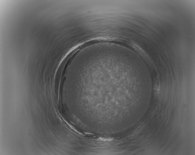 X0000080180484200612151952