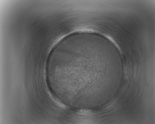 X0000080180487200612151952