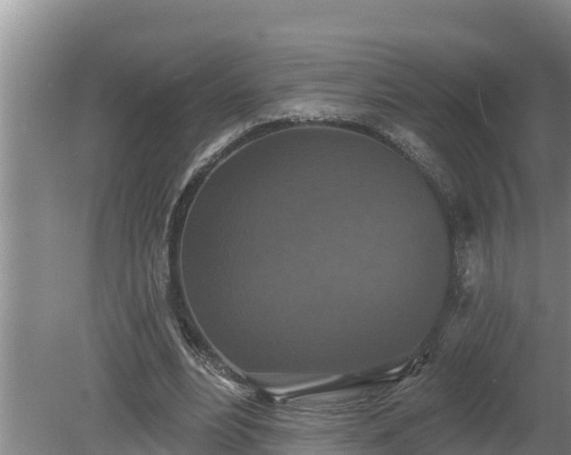 X0000080180488200612151952