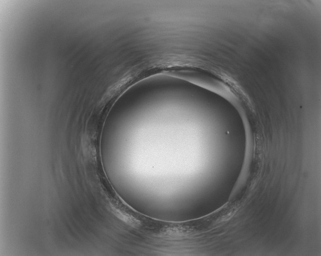 X0000080180489200612151952