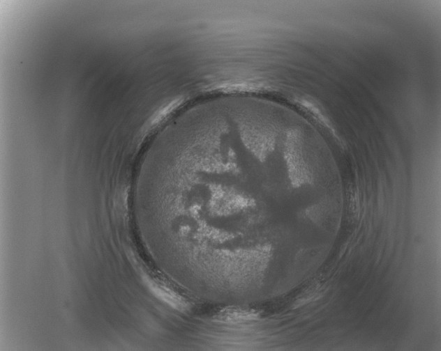 X0000080180491200612151952