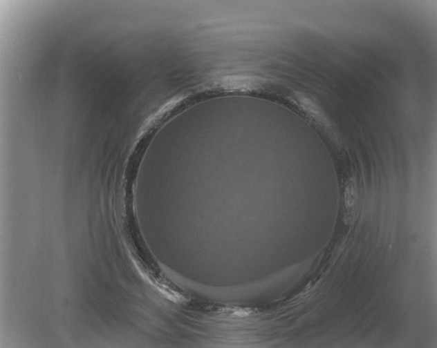 X0000080180492200612151952