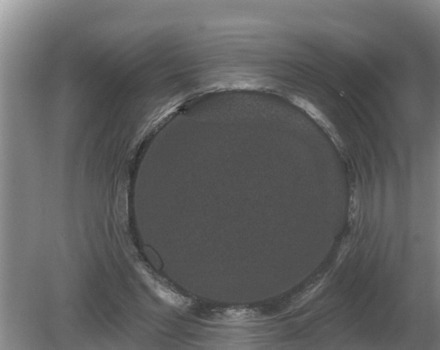 X0000080180493200612151952