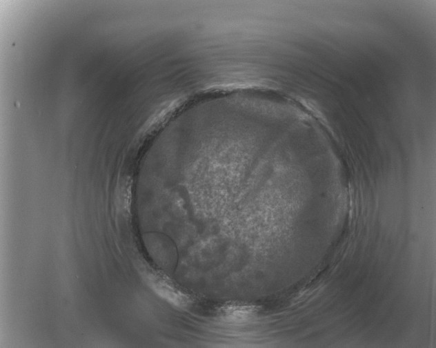 X0000080180495200612151952