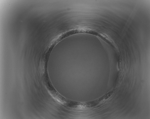 X0000080180496200612151952