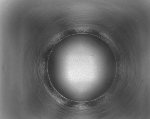 X0000080180498200612151952