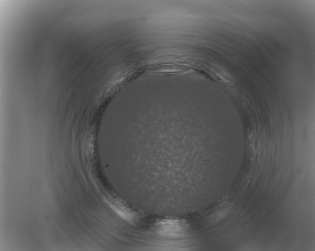 X0000080180499200612151952