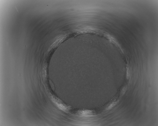 X0000080180501200612151952