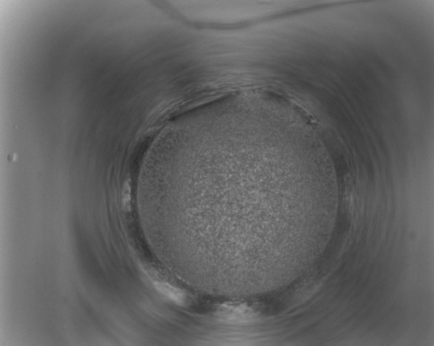 X0000080180502200612151952