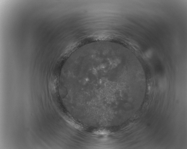 X0000080180503200612151952