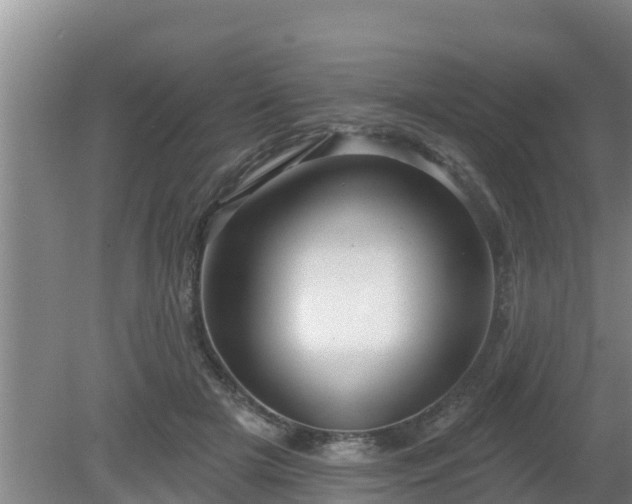 X0000080180505200612151952