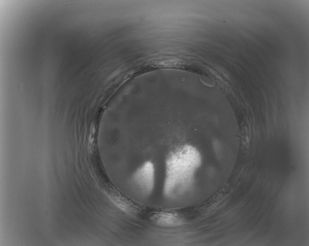 X0000080180507200612151952