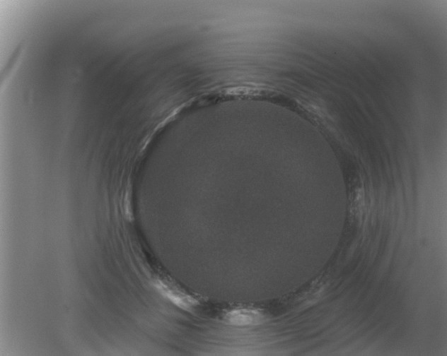 X0000080180508200612151952