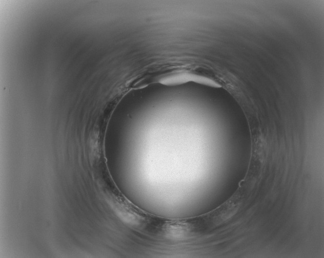 X0000080180510200612151952