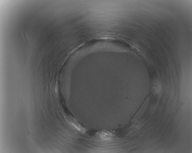 X0000080180512200612151952