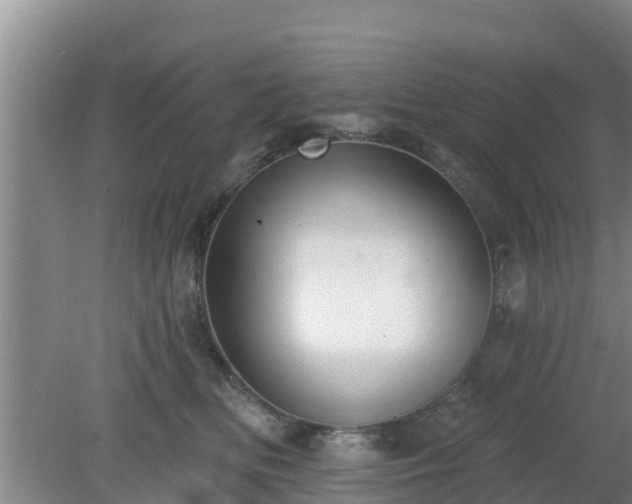 X0000080180518200612151952