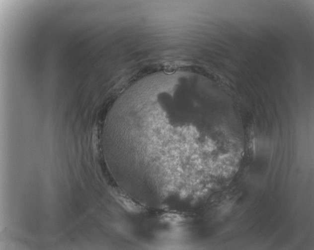 X0000080180519200612151952