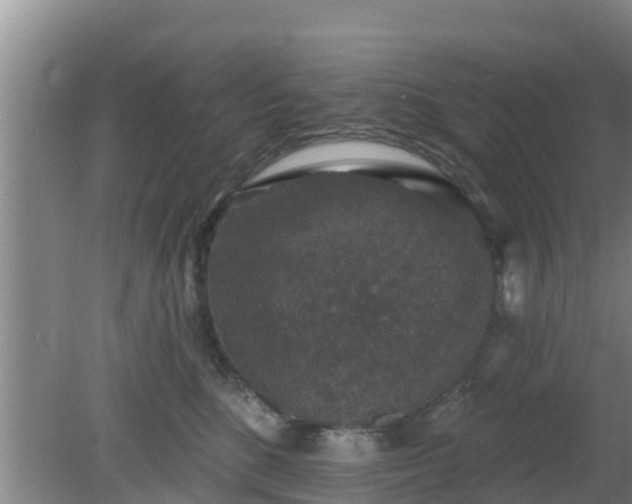 X0000080180520200612151951