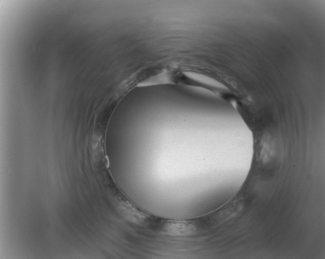 X0000080180521200612151951