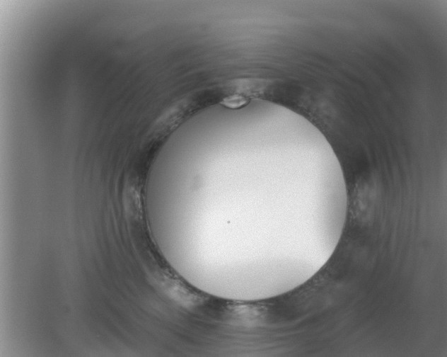 X0000080180522200612151951